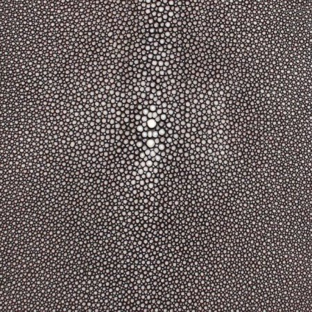 Кожа ската текстура бесшовная