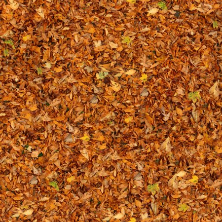 Текстура осенней листвы