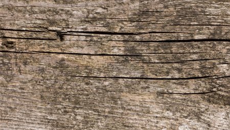 Бесшовная текстура деревянных балок (33 фото)