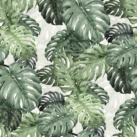 Тропические лист Monstera
