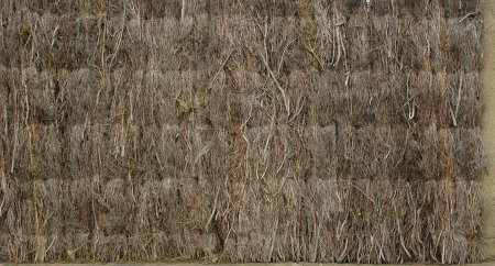 Бесшовная текстура сена (30 фото)
