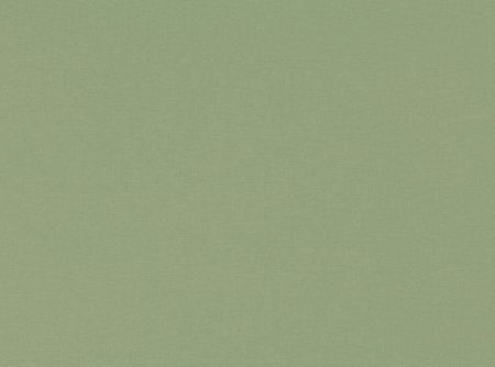 Фисташковый цвет bef574