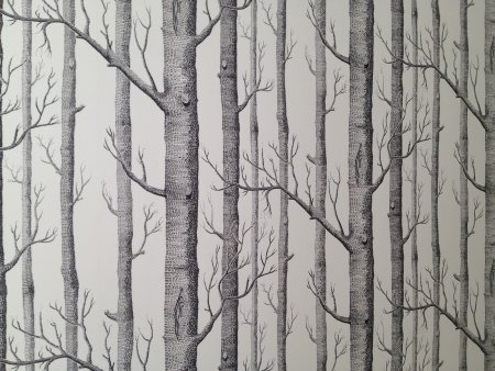 Cole son Woods