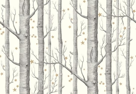 Английские обои Cole & son, коллекция New Contemporary 2, артикул 69/12147