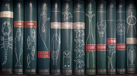 Книжный корешок