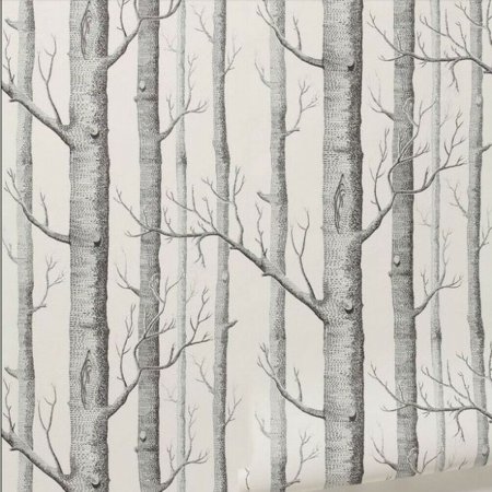 Английские обои Cole & son, коллекция New Contemporary 2, артикул 69/12147