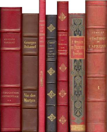 Красивые корешки книг