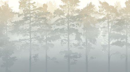 Принты лес в тумане