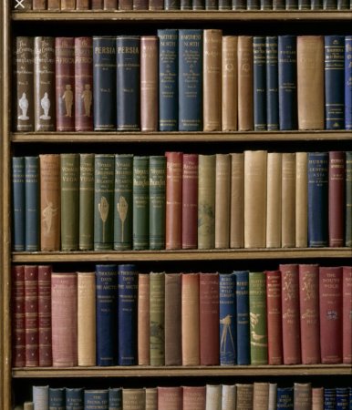 Книжные полки с книгами