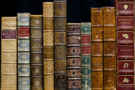 Корешки книг на полке