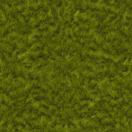 Grass ground texture