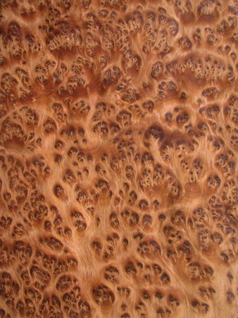 Burl Walnut Wood