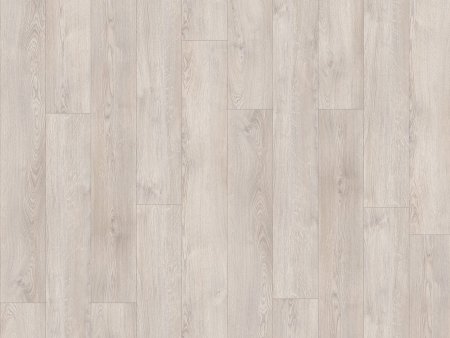 58936 Sierra Oak