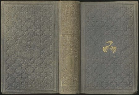 Текстура книги