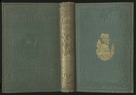 Обложка книги текстура