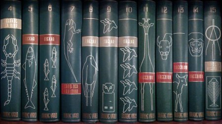 Обложка для книги