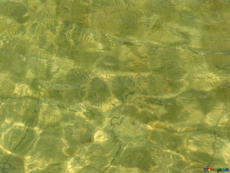 Текстура Болотной воды