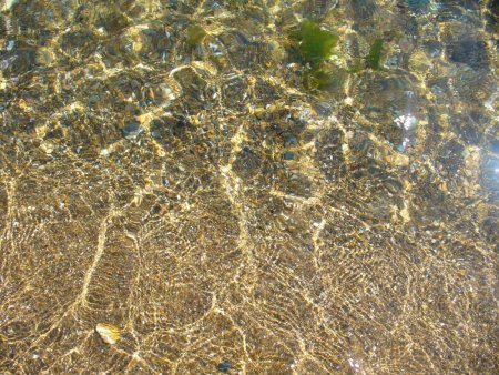 Морское дно вид сверху