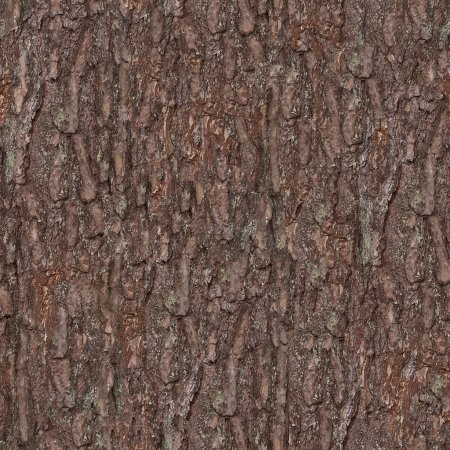 Spruce Bark texture бесшовная