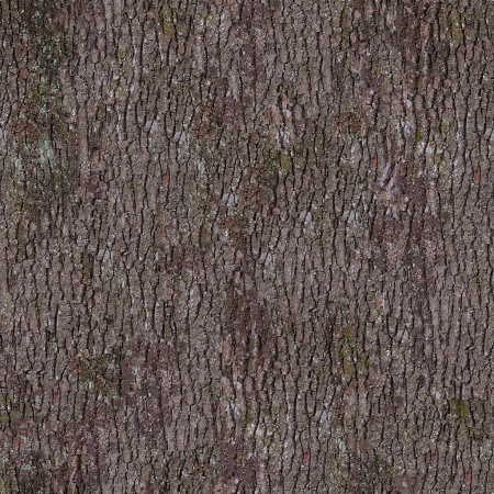 Bark texture бесшовная