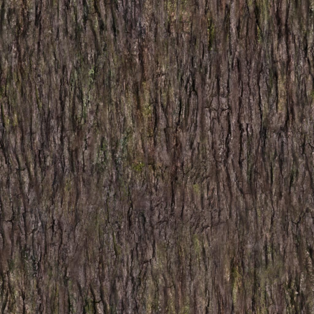 Bark texture бесшовная