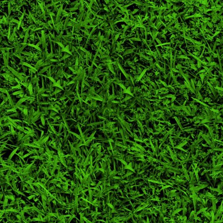 Grass texture бесшовная