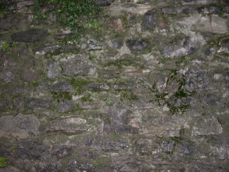 Бесшовная текстура камня со мхом