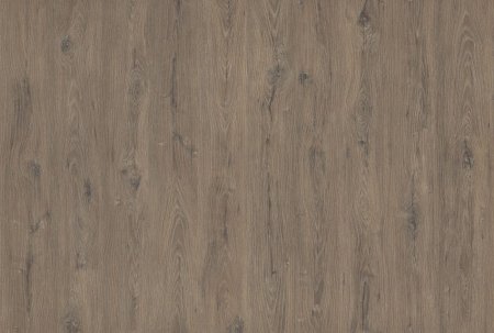 Дуб ла-Манча дымчатый