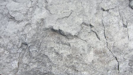 Бесшовная текстура камня черно белая (33 фото)
