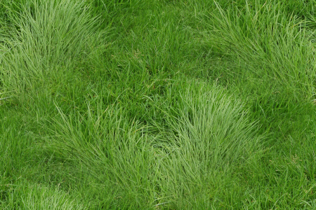 Бесшовная текстура мелкой травы (34 фото)
