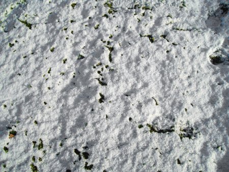 Снег текстура