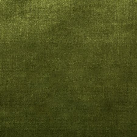 Velvet Olive Green