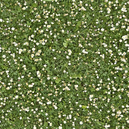 Газон с цветами вид сверху