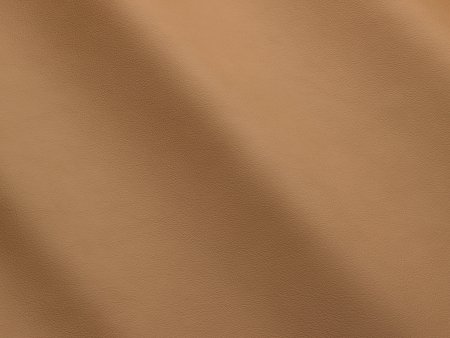Бежевый цвет фон однотонный