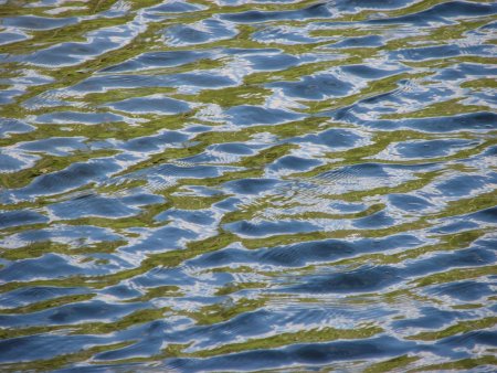 Поверхность воды