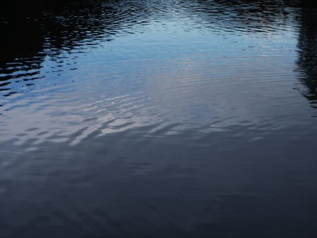 Водоем сверху