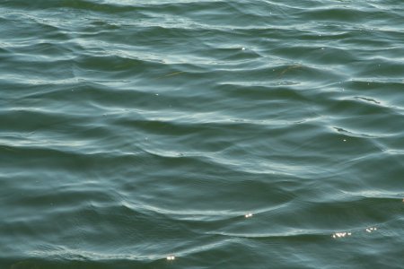 Вода река текстура