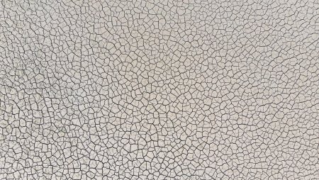 Потрескавшаяся кожа текстура