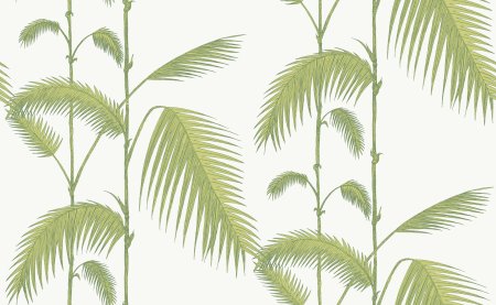 Обои Cole and son Palm Jungle