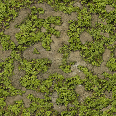 Tundra Terrain texture