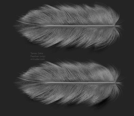 Zbrush Feather Alpha