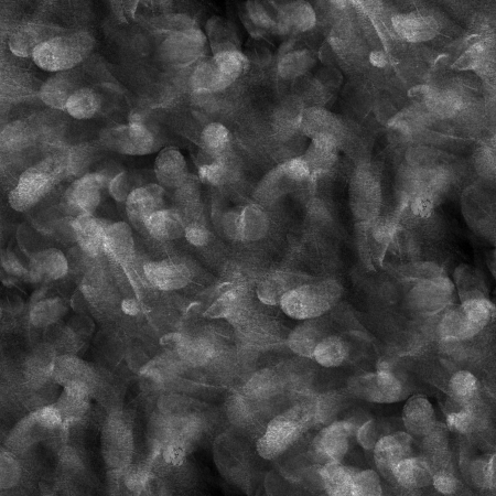 Отпечатки пальцев на стекле текстура