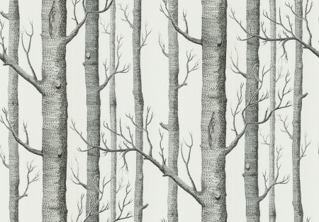 Английские обои Cole & son, коллекция New Contemporary 2, артикул 69/12147