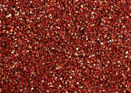 Chinese Prickly Ash