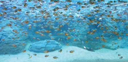 Аквариум текстура