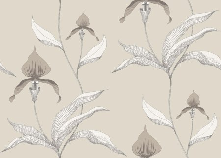 Обои Cole son коллекция Contemporary restyled