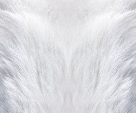 Белая шерсть