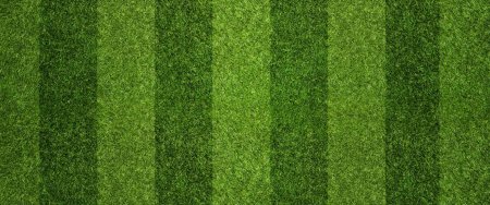 Газон футбольный сверху