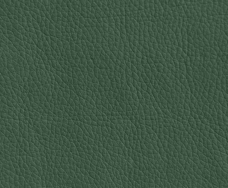 Oregon (кожзам 1 кат.)