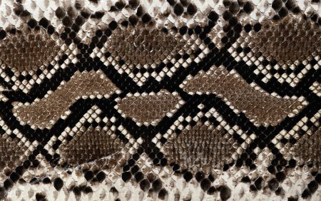 Бесшовная текстура змеиной кожи (36 фото)